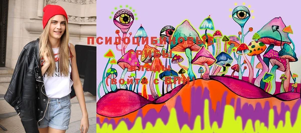 кокс Алексин