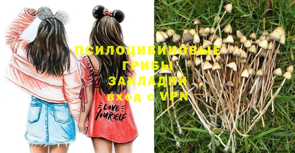 apvp Алексеевка