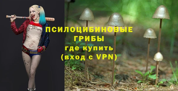 apvp Алексеевка