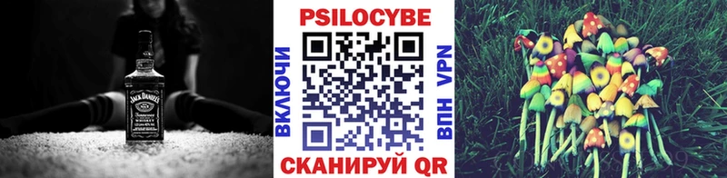 Псилоцибиновые грибы Psilocybe  Избербаш 