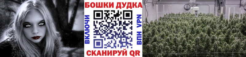 Шишки марихуана OG Kush  Избербаш 